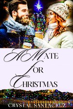 A Mate for Christmas