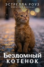 Бездомный котенок