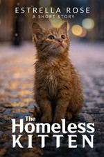 The Homeless Kitten