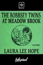 Bobbsey Twins at Meadow Brook